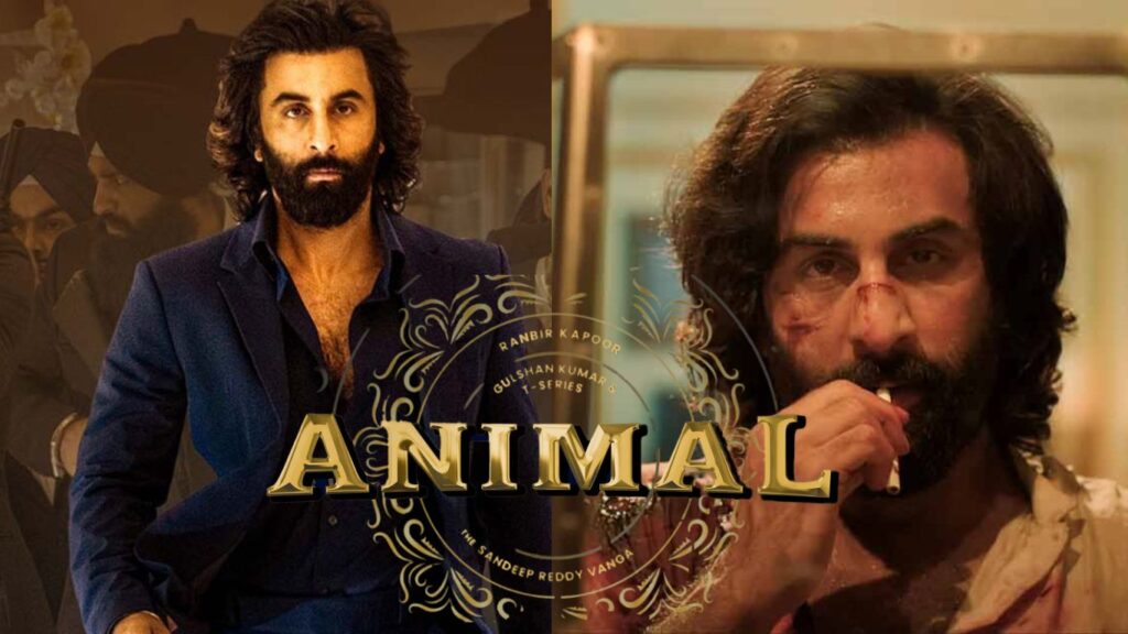 Animal Box Office Collection: Ranbir Kapoor's film is showing progress, likely to earn around Rs 13 crore in India