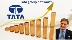 Tata group net worth