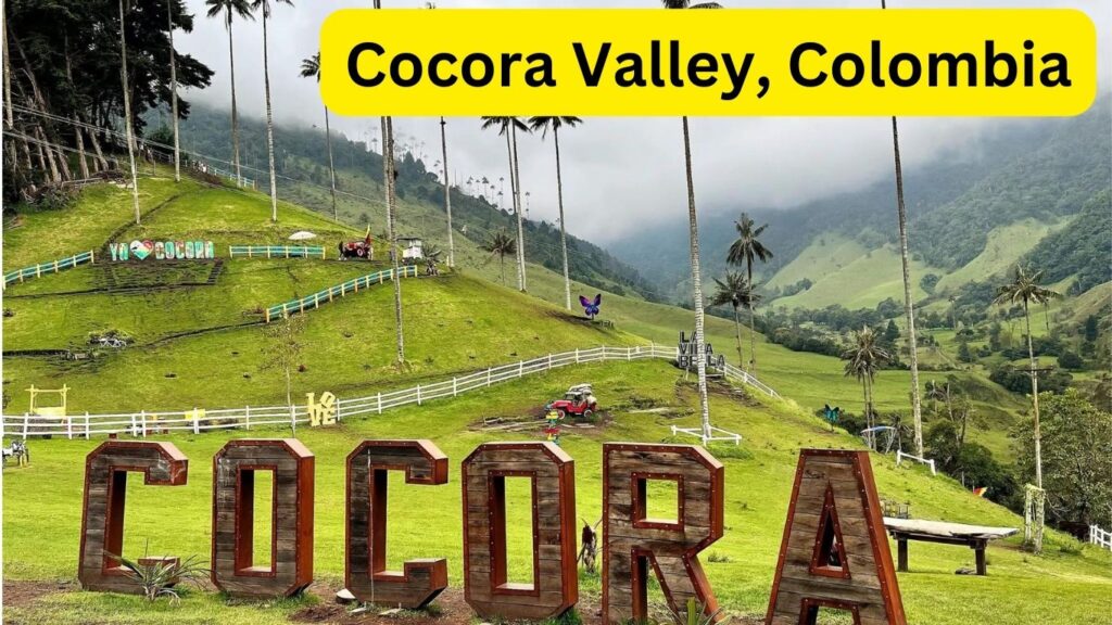 Cocora Valley Colombia 1